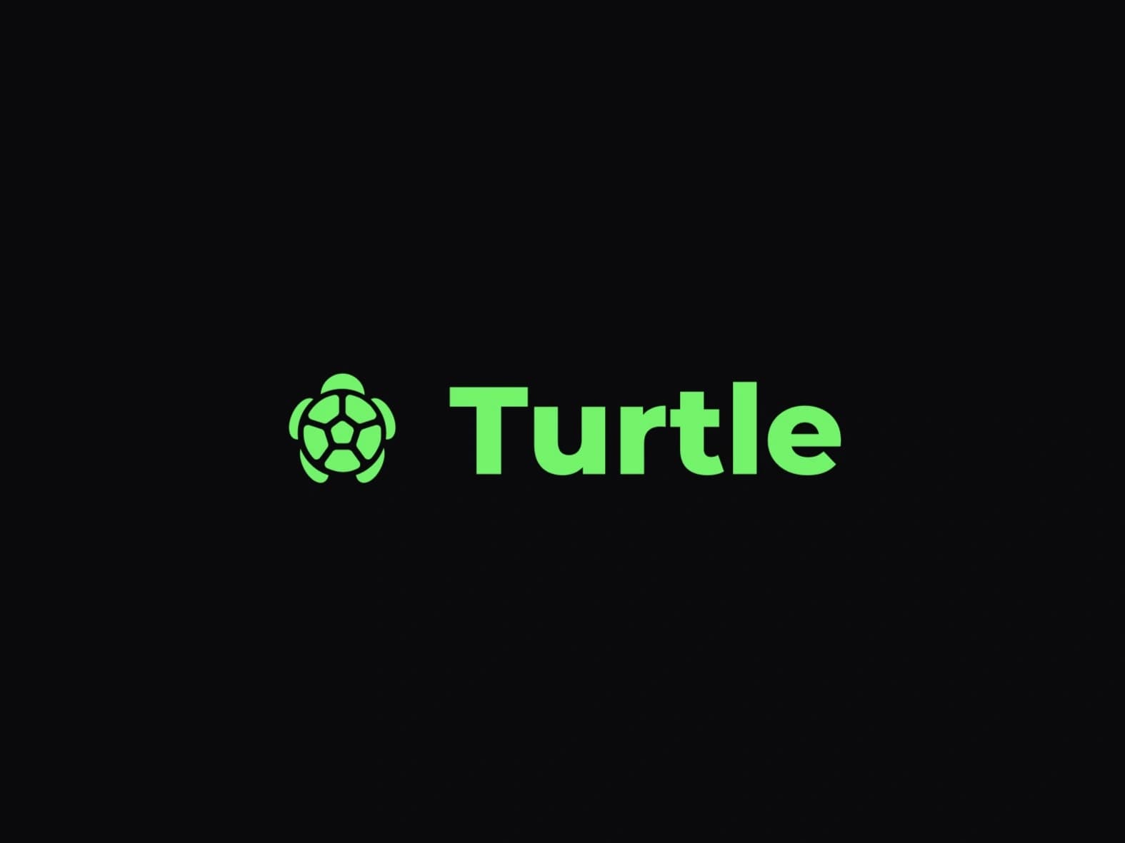 turtle