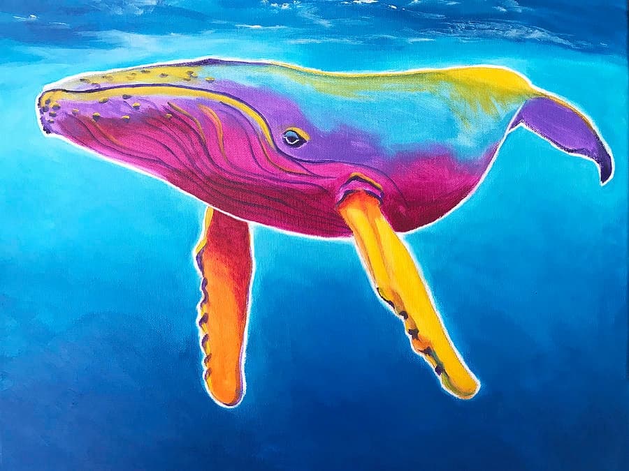 rainbow-whale
